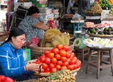 L'odeur des durians ne trompe pas, ils sont juste derrière les tomates! Marché de Chau Doc, Vietnam
