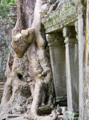 La nature reprend ses droits et c'est magnifique, Preah Khan, Angkor, Cambodge