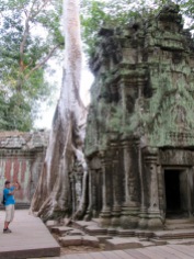 À la découverte de Ta Phrom, la mystérieuse, Angkor, Cambodge