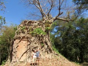 Plus d'une centaine de temples sont disséminés sur le site de Sambor Pre Kuk, mais la nature a repris ses droits, Cambodge