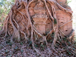 Un bijou dans un écrin naturel, Sambor Pre Kuk, Cambodge