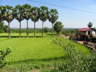 Une belle rizière au détour du chemin sur la route de Chhlong, Cambodge.