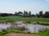 Les maisons sur pilotis sont souvent regroupées autour d'une rizière ou d'un potager.