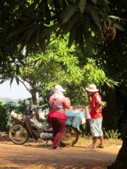 Cette femme se déplace en moto pour vendre dans le voisinage ses légumes cuits et prêts à être consommés. Nous avons goûté un tubercule qui a le goût de la patate, c'était délicieux. Kratie, Cambodge.