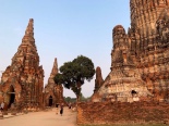 Promenade sur les ruines du Wat Chao Wattanaram, une rangée de bouddhas peut être observée encore à ce jour, certains sont en meilleurs état que les autres. Ayutthaya, Thaïlande.